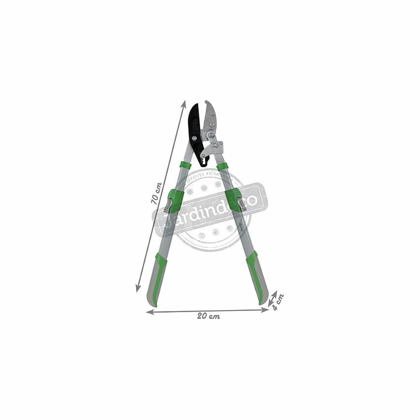 Flash Sale 👏 Ribiland Coupe-branches à enclume démultiplié 👍 2 Flash Sale 👏 Ribiland Coupe-branches à enclume démultiplié 👍 – Image 2