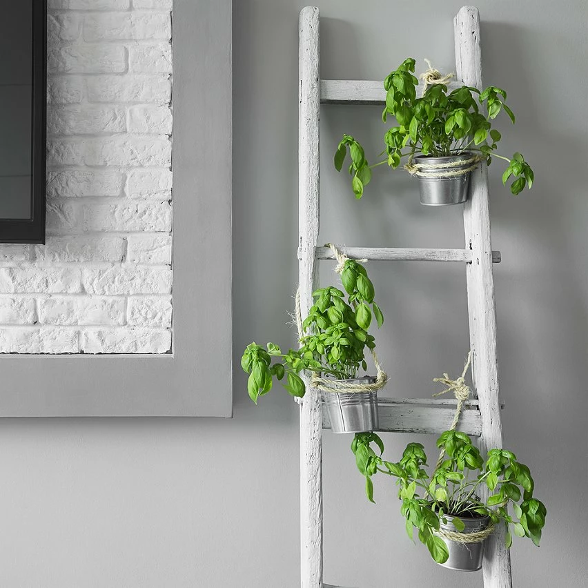 Deals 🛒 PrimeMatik Corde torsadée en sisal 3 torons 100 m x 6 mm naturel 💯 4 Deals 🛒 PrimeMatik Corde torsadée en sisal 3 torons 100 m x 6 mm naturel 💯 – Image 4