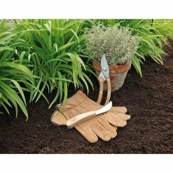 Deals 🔔 Esschert Design Set d'outils pour tailler avec gant en cuir 🎁 -Sam Outillage STORE 8714982035432 3